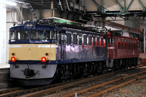 【JR東】EF60-19 秋田総合車両センター入場配給を高崎駅で撮影した写真
