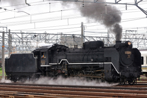 【JR西】D51-200 乗務員訓練を梅小路蒸気機関車館で撮影した写真