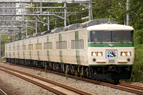 【JR東】団体臨時列車「特急『踊り子』30周年記念号」運転を大井町駅で撮影した写真
