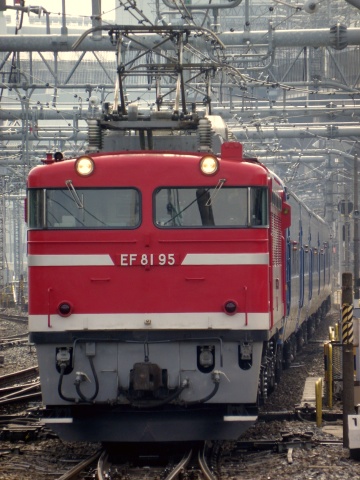 【JR東】EF81-95＋24系7両 EL転換訓練実施を大宮駅で撮影した写真