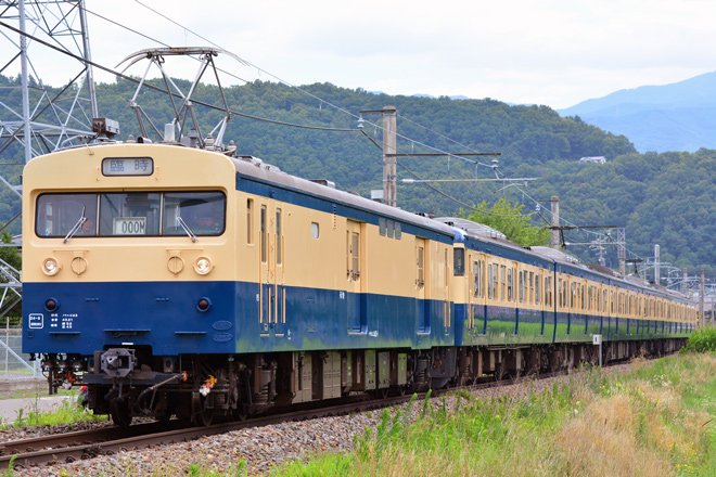 【JR東】快速「懐かしの115系横須賀色号」運転を島内～島高松間で撮影した写真
