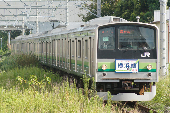 【JR東】横浜線205系営業運転終了を大口駅で撮影した写真