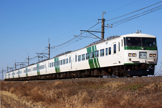 【JR東】185系B2編成使用の成田山初詣臨時列車を木下～小林間で撮影した写真