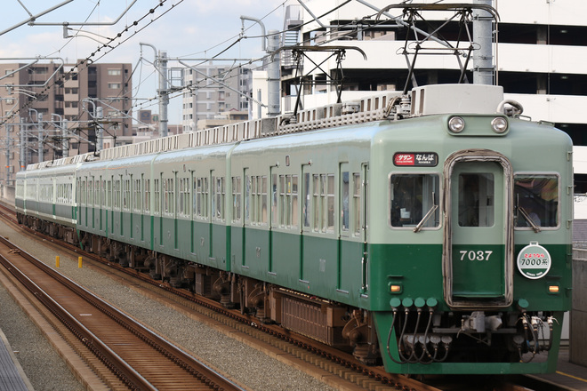 【南海】7000系定期運行終了を松ノ浜駅で撮影した写真