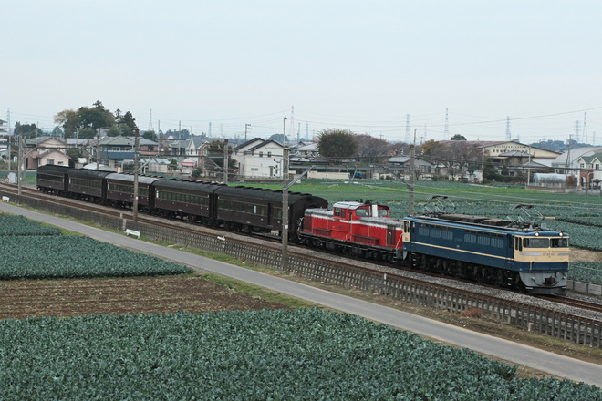 【JR東】EF65-501＋DD51-842＋旧客5両 尾久に配給を岡部～深谷間で撮影した写真