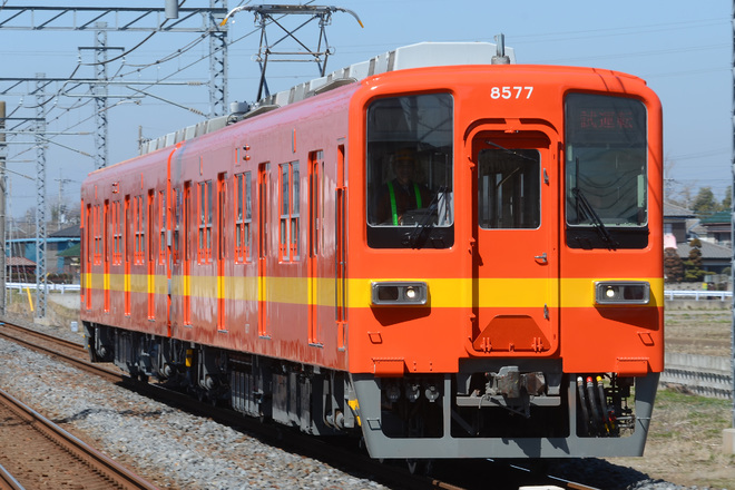 【東武】8000系8577F 出場試運転(昭和30年代の標準色リバイバル塗装)を柳生駅で撮影した写真