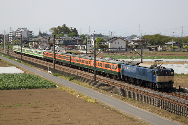 【JR東】115系ニイL9＋L10編成配給輸送を岡部～深谷間で撮影した写真