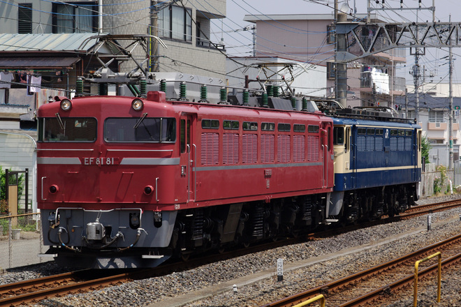 【JR東】EF81-81＋EF65-1115 大宮展示返却配給を土呂駅で撮影した写真