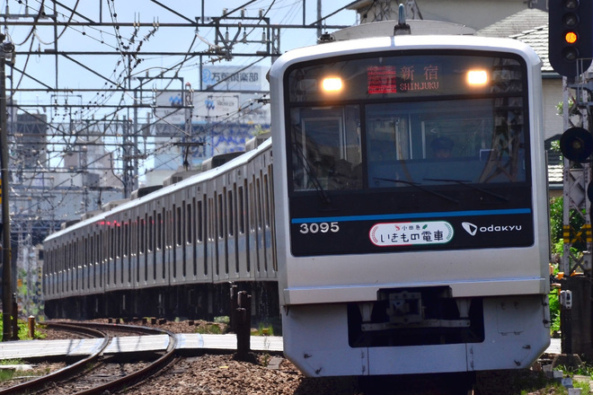 【小田急】いきもの電車 運転開始を小田原～足柄間で撮影した写真