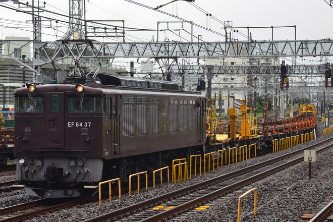 【JR東】EF64-37牽引新津工臨を金町駅で撮影した写真