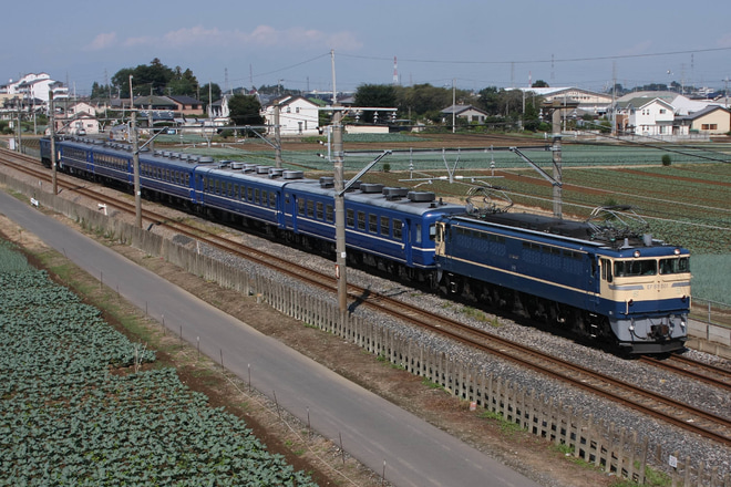 【JR東】EF65-501、EF60-19牽引「中央大学鉄道研究会OB臨」を岡部～深谷で撮影した写真