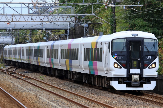 【JR東】E257系モトM-105編成 TDR臨を市川大野駅で撮影した写真