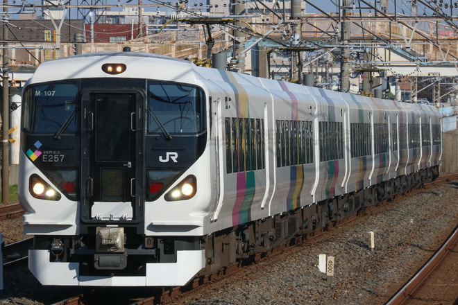 【JR東】E257系モトM-107編成 団体臨時列車運転を馬橋駅で撮影した写真