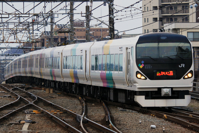 【JR東】E257系0番台 定期運用終了を高尾駅で撮影した写真