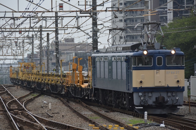 【JR東】EF64-37牽引 松本工臨運転を高尾駅で撮影した写真