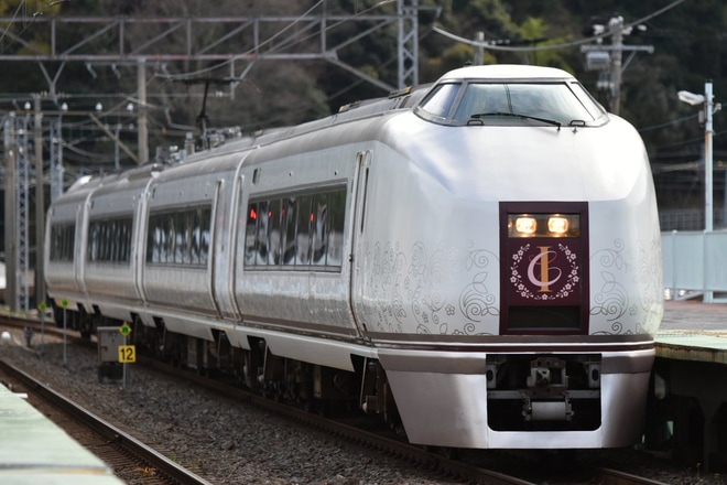 【JR東】651系「IZU CRAILE (伊豆クレイル)」定期営業運転終了を河津駅で撮影した写真