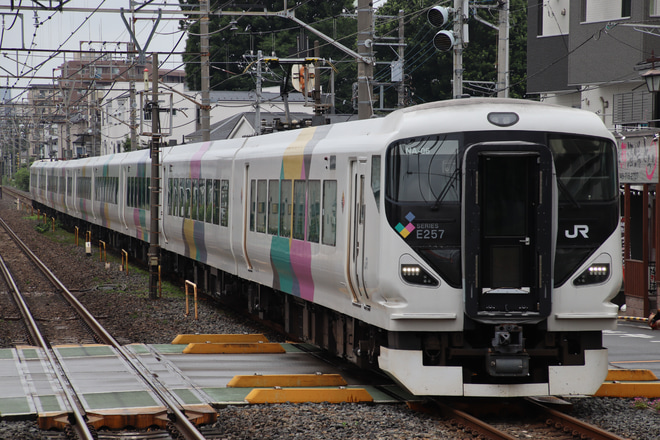 【JR東】E257系NA-06編成東大宮回送を土呂駅で撮影した写真
