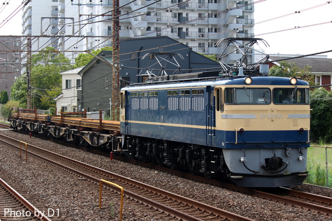 【JR東】EF65-501牽引 高崎操(竹沢)工臨を北松戸駅で撮影した写真