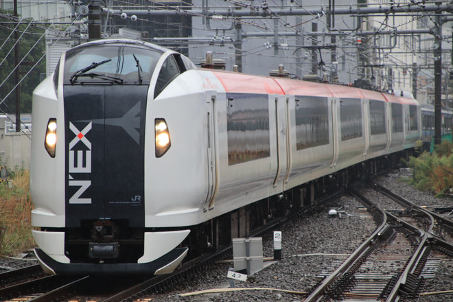【JR東】E259系クラNe017編成 大宮総合車両センター入場回送を新宿駅で撮影した写真