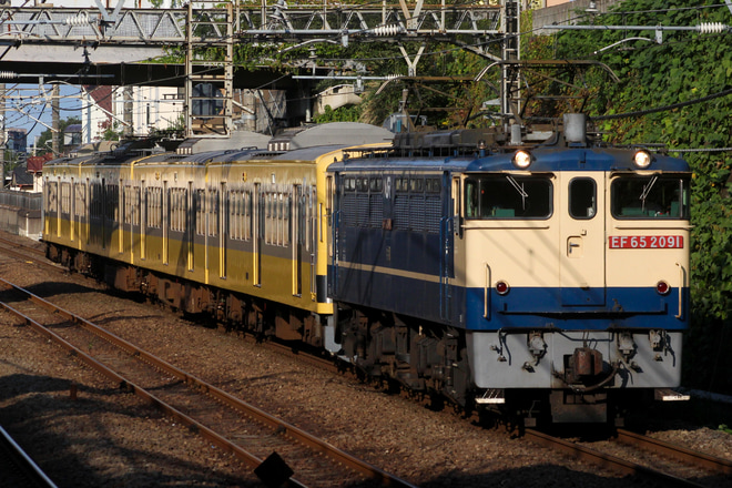 【西武】新101系249F(ツートンカラー）多摩川線へ甲種輸送(20201024)を新秋津駅で撮影した写真