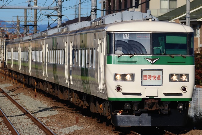 【JR東】185系使用の鎌倉紅葉号運転を西府駅で撮影した写真