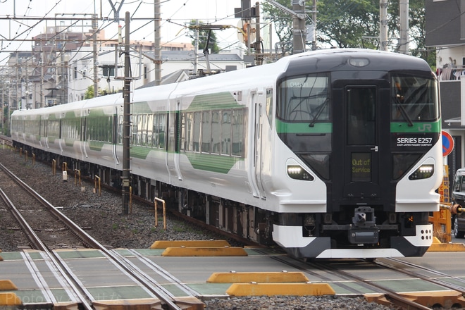 【JR東】E257系オオOM-91編成 長野総合車両センター出場を土呂駅で撮影した写真