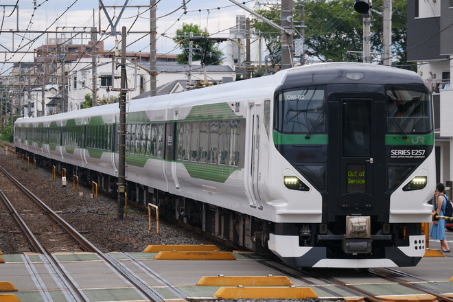 【JR東】E257系OM-92編成長野総合車両センター出場回送を土呂駅で撮影した写真
