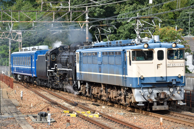 【JR西】D51-200本線試運転が「SL北びわこ号」掲出で実施を山科駅で撮影した写真