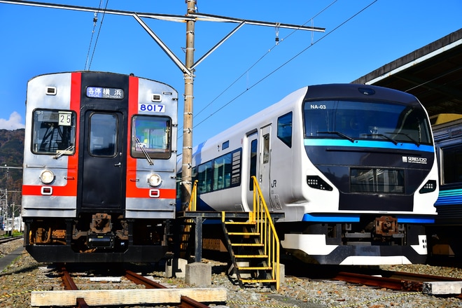 【伊豆急】8000系TB-7編成(歌舞伎/前面赤帯)を使用した団体臨時列車