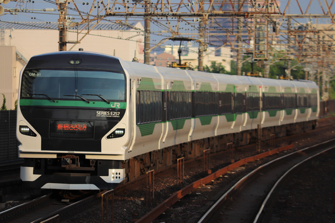 【JR東】E257系5000番台OM-91編成使用 特急「新宿さざなみ」運転を稲毛駅で撮影した写真