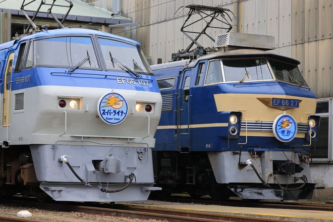 【JR貨】「吹田機関区に所属する機関車を特別公開」 を吹田機関区で撮影した写真