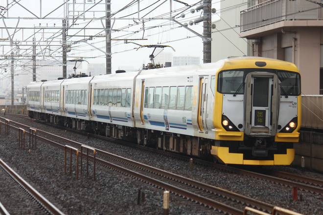 【JR東】E257系マリNB-01編成 「わかしお・さざなみ50周年記念号」を本八幡駅で撮影した写真