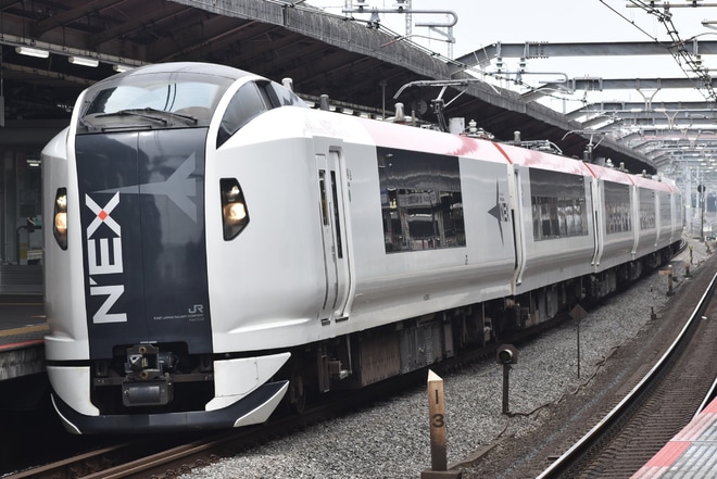 【JR東】E259系Ne002編成大宮総合車両センター出場回送を赤羽駅で撮影した写真