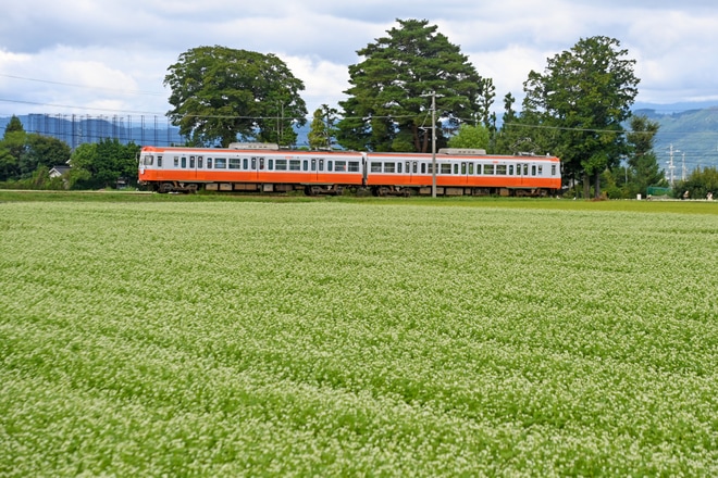 【アルピコ】3003-3004編成「モハ10形」リバイバルカラーの貸切列車を不明で撮影した写真