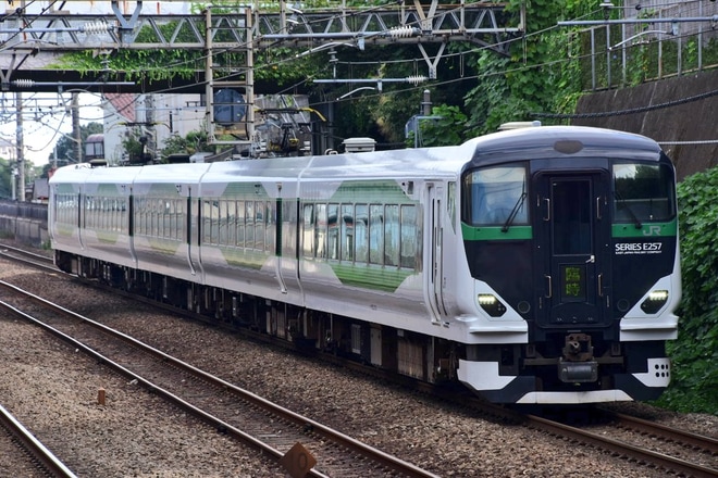 【JR東】快速「武蔵野・青梅奥多摩号」が運転を新秋津駅で撮影した写真