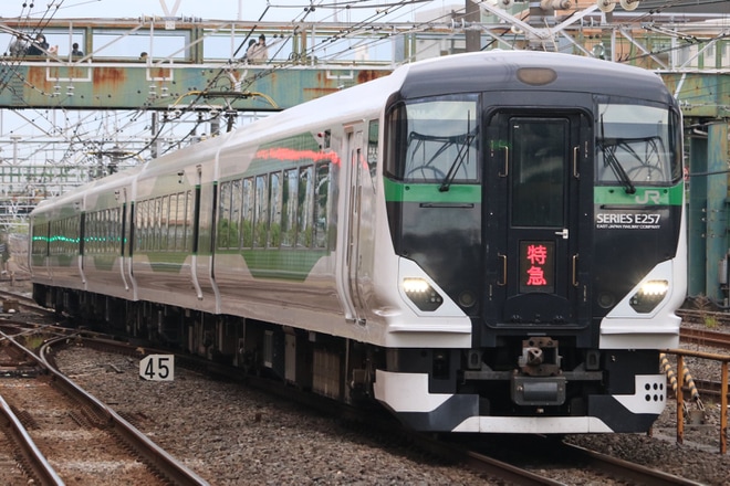 【JR東】特急「いすみマラソン」を臨時運行を津田沼駅で撮影した写真