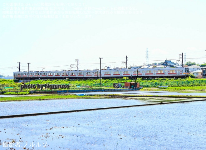 【東急】9000系9005F長津田車両工場入場回送を長津田～恩田間で撮影した写真