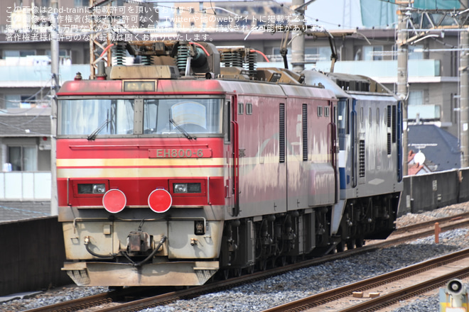 【JR貨】EH800-6大宮車両所入場を西浦和駅で撮影した写真