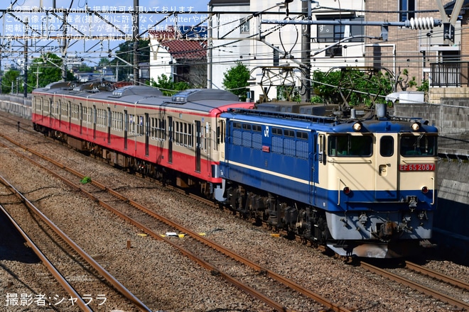 【西武】新101系1247F(赤電)多摩川線へ甲種輸送