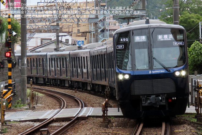 【相鉄】イベント開催に伴い臨時列車が運行を鶴ヶ峰駅で撮影した写真