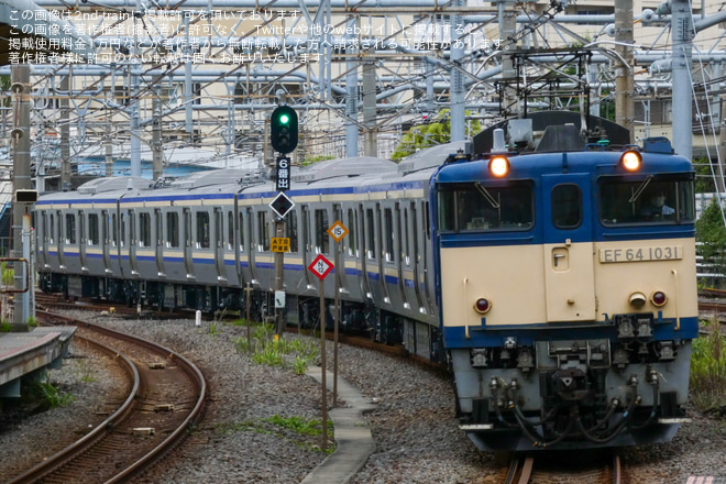 【JR東】E235系クラJ-24編成 配給輸送を大船駅で撮影した写真
