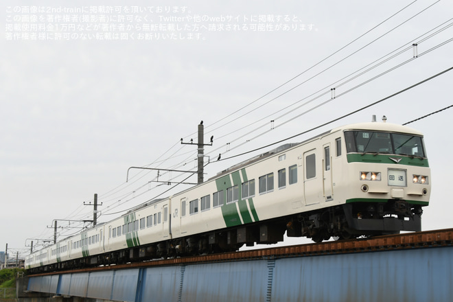 【JR東】185系B6編成を使用した東海道線団体列車を新鶴見(信)～鶴見間で撮影した写真