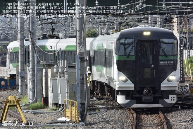 【JR東】E257系オオOM-53編成 車輪転削返却回送を大宮駅で撮影した写真