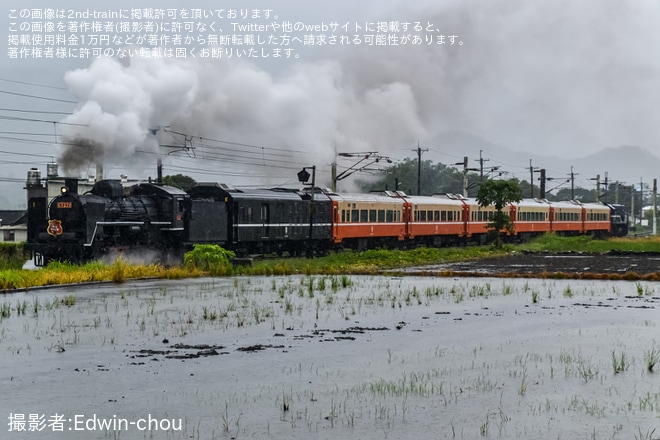 【台鐵】CT273牽引のSL仲夏寶島號(2023)を瑞源〜瑞和間で撮影した写真