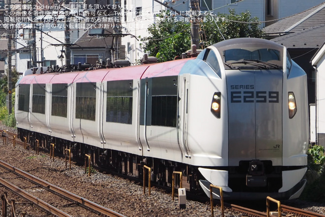 【JR東】E259系Ne010編成が大宮総合車両センターで新塗装化され出場回送を土呂駅で撮影した写真