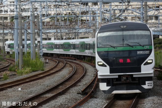【JR東】臨時特急「えぼし」運転を大船駅で撮影した写真