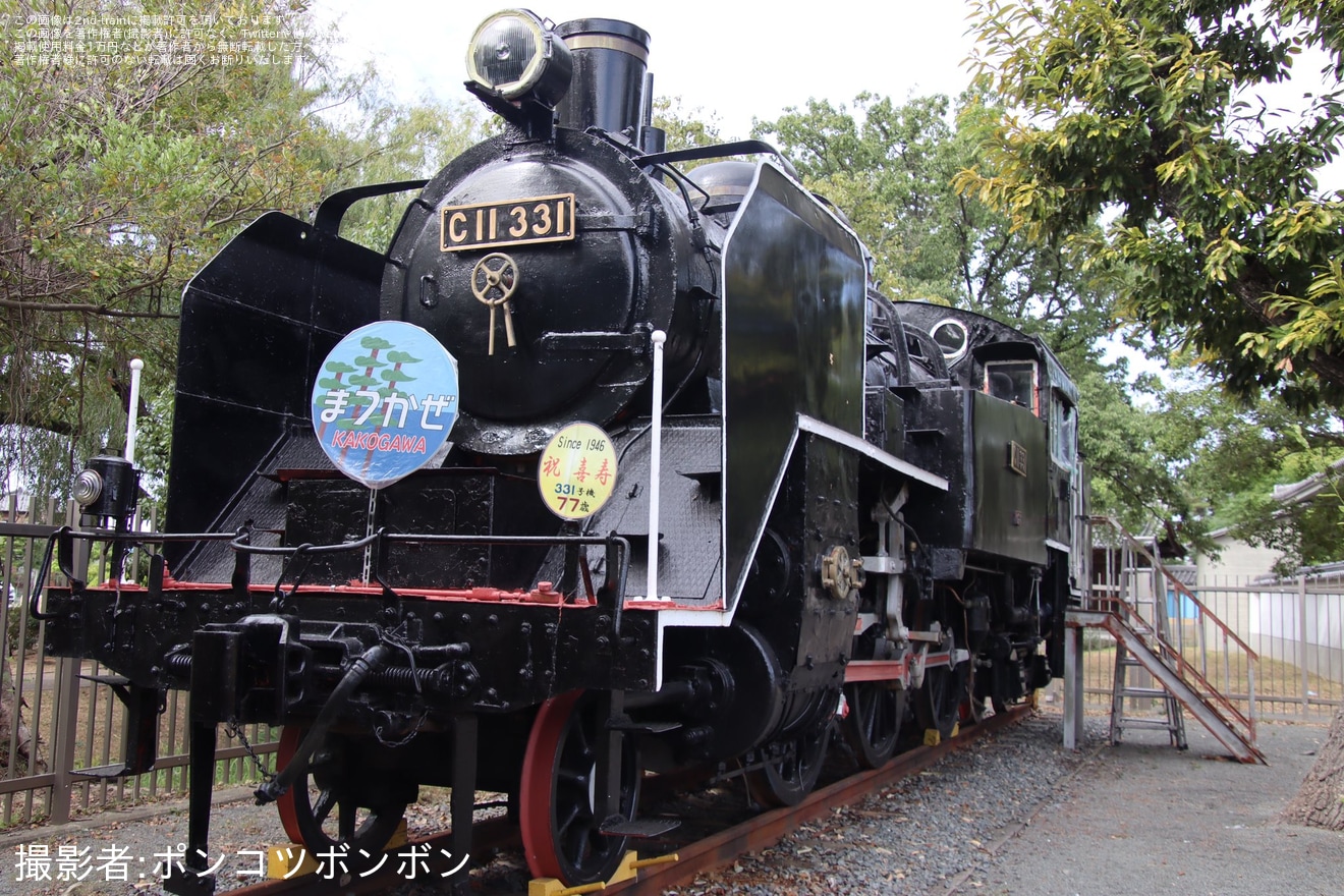 【加古川市】保存中のC11-331に喜寿を祝うマークの拡大写真