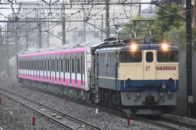 【新京成】80000形80046編成甲種輸送を東浦和駅で撮影した写真
