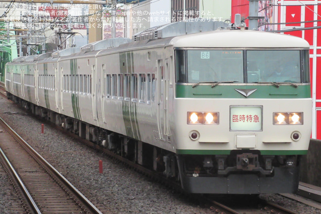 【JR東】185系B6編成使用の「開運初詣号」を運行を秋葉原駅で撮影した写真