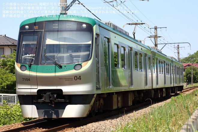 【東急】7000系使用のこどもの国線臨時列車運転を不明で撮影した写真